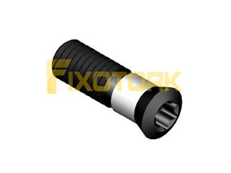 PARAFUSO TORX MOD AM 50L16-AM6520