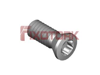 PARAFUSO TORX MOD B 25L63-B3807