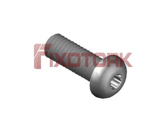 PARAFUSO TORX MOD L 60L20-L1020