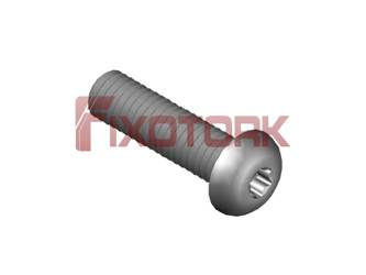 PARAFUSO TORX MOD L 60L25-L1020