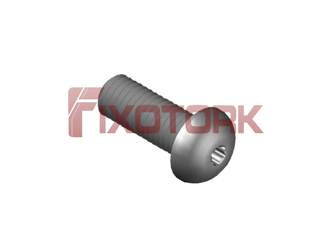 PARAFUSO TORX MOD L 80L25-L1420