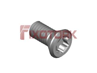 PARAFUSO TORX MOD B 30L64-B5215