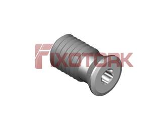 PARAFUSO TORX MOD B 80L14-B9620
