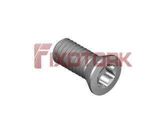 PARAFUSO TORX MOD B 35L80-B5515/30º