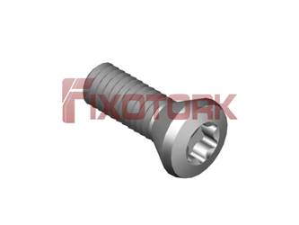 PARAFUSO TORX MOD A 40L12-A7220