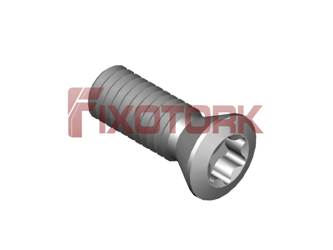 PARAFUSO TORX MOD B 35L10-B5515/30