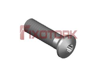 PARAFUSO TORX MOD Z 60L23-Z1020