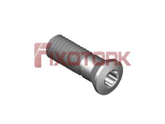 PARAFUSO TORX MOD Z 50L16-Z7320