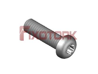 PARAFUSO TORX MOD L 30L12-L5009