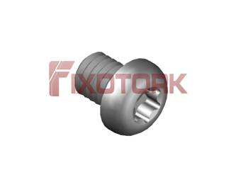 PARAFUSO TORX MOD L 30L50-L5009