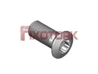 PARAFUSO TORX MOD B 50L12-B8425