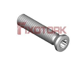 PARAFUSO TORX MOD A 30L14-A4209