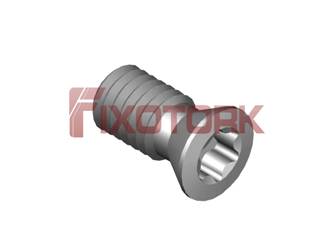 PARAFUSO TORX MOD B 30L60-B4209