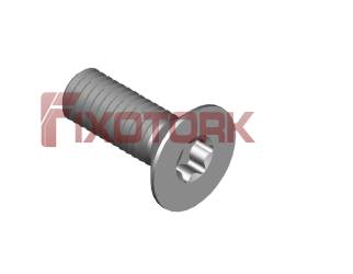 PARAFUSO TORX MOD W 50L10-W1025