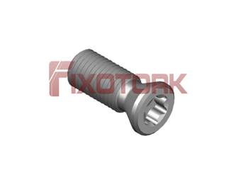 PARAFUSO TORX MOD E 40L10-E5515