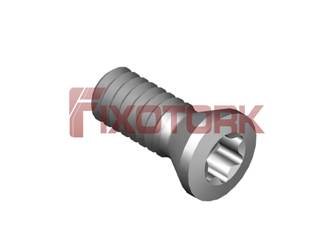 PARAFUSO TORX MOD B 22L60-B3507