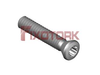 PARAFUSO TORX MOD B 22L12-B3507