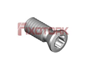 PARAFUSO TORX MOD B 30L72-B4210