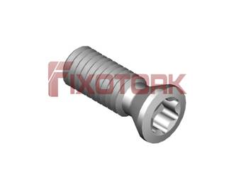 PARAFUSO TORX MOD B 30L85-B4210