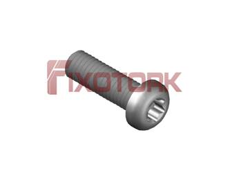 PARAFUSO TORX MOD L 50L19-L8525