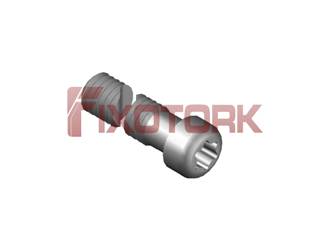 PARAFUSO TORX MOD L 35L20-L4810