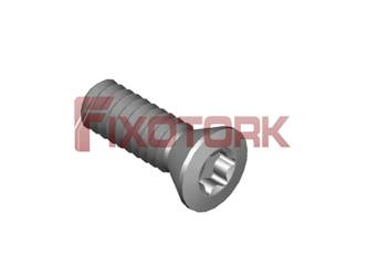 PARAFUSO TORX MOD B 20L58-B3106