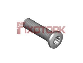 PARAFUSO TORX MOD B 30L12-B5010