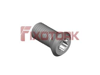 PARAFUSO TORX MOD B 40L80-B6115