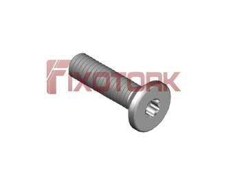 PARAFUSO TORX MOD W 30L12-W6008