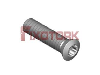PARAFUSO TORX MOD B 20L80-B3106