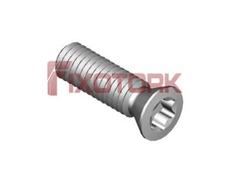 PARAFUSO TORX MOD B 30L10-B4410