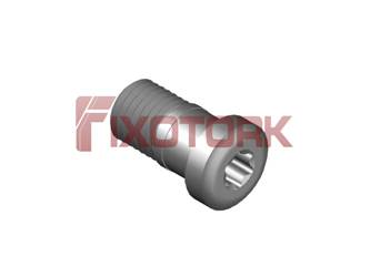 PARAFUSO TORX MOD LA 60L13-LA8420