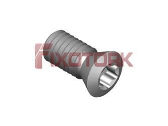 PARAFUSO TORX MOD B 40L12-B5715/55°