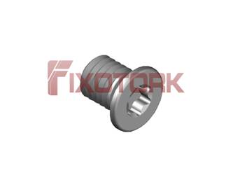 PARAFUSO TORX MOD W 45L55-W6515