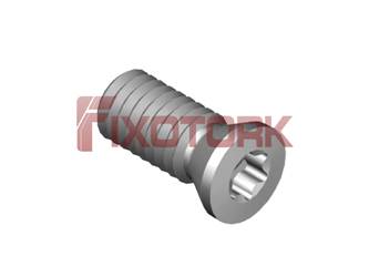 PARAFUSO TORX MOD A 35L80-A4809