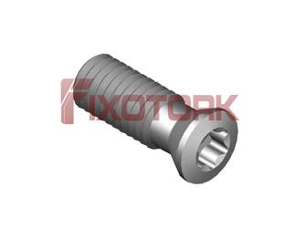 PARAFUSO TORX MOD B 50L14-B6620
