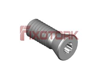 PARAFUSO TORX MOD B 60L14-B8520