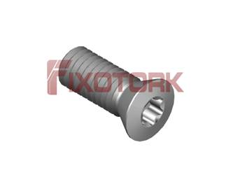 PARAFUSO TORX MOD B 45L11-B6915