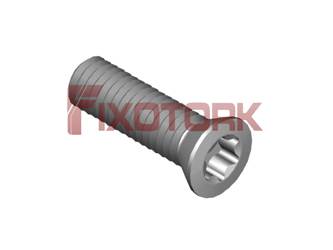 PARAFUSO TORX MOD B 35L12-B5515/30