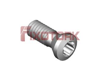 PARAFUSO TORX MOD A 35L10-A5515