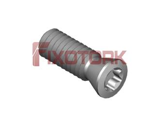 PARAFUSO TORX MOD E 25L70-E3307